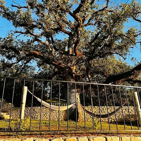 One Bedroom With Private Bathroom And Kitchen * Alcobaca