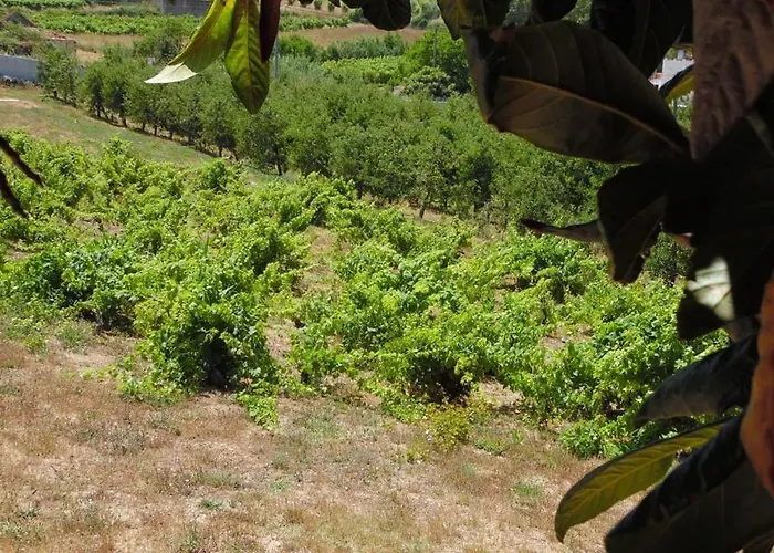 One Bedroom With Private Bathroom And Kitchen Chalet Alcobaça