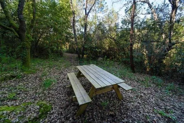 Alpehytte One Bedroom With Private Bathroom And Kitchen *