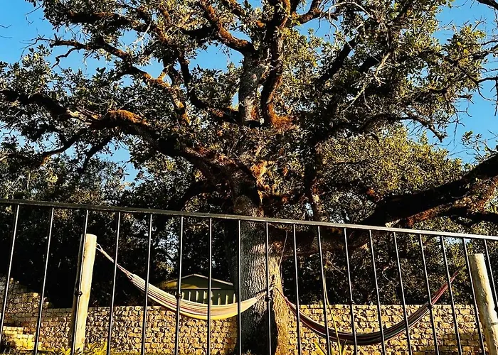 One Bedroom With Private Bathroom And Kitchen * Alcobaça